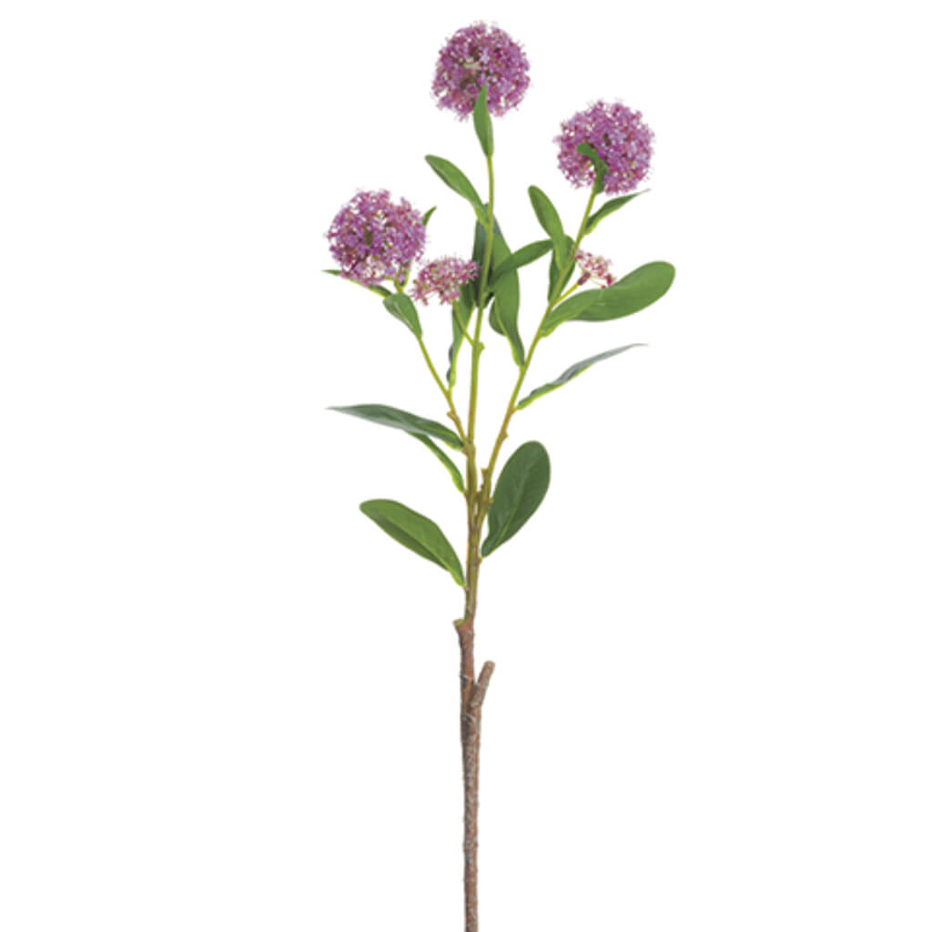 Ixora Spray 22.5in Boysenberry
