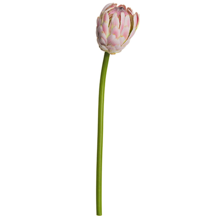 Protea Spray 19in, Pink