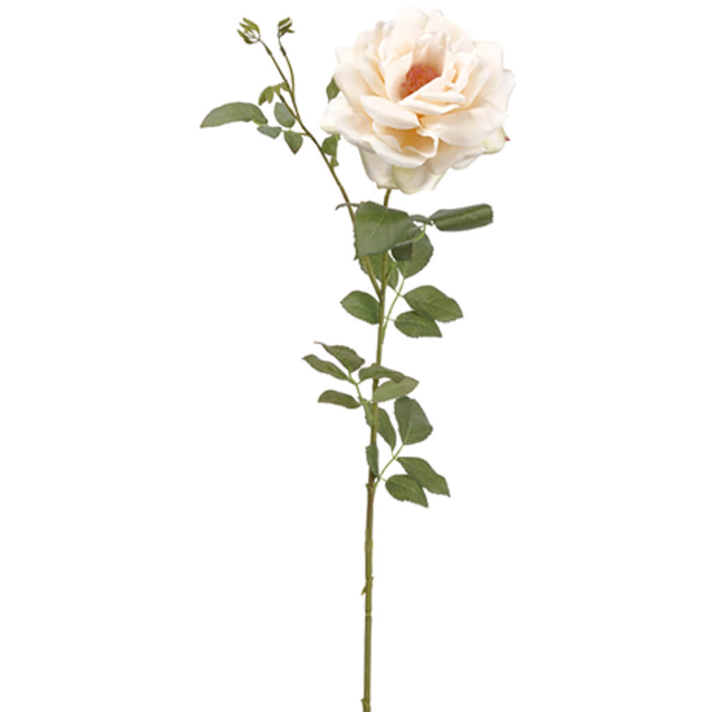 Rose Spray 38in  Blush