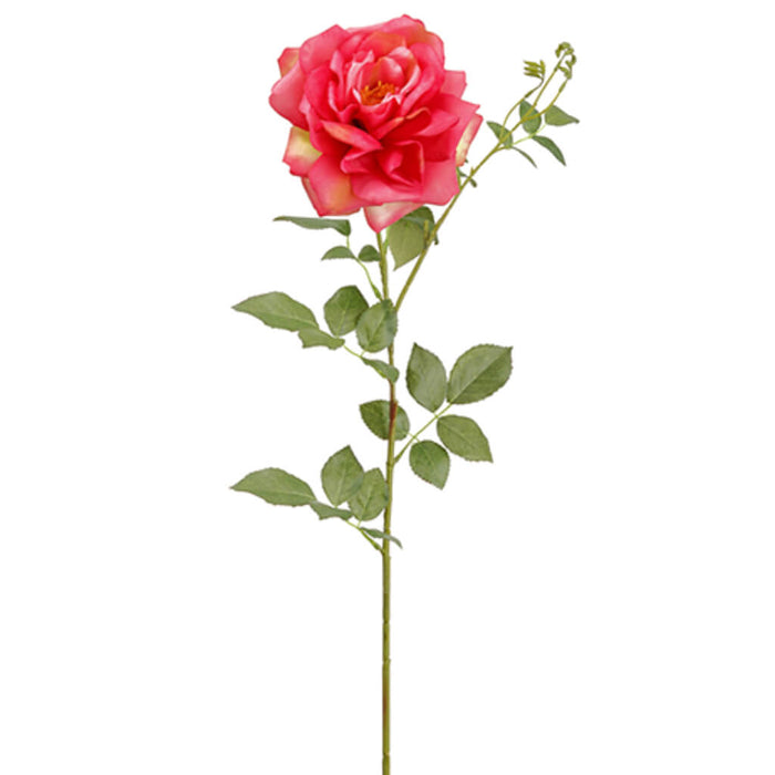 Rose Spray 38in, Beauty