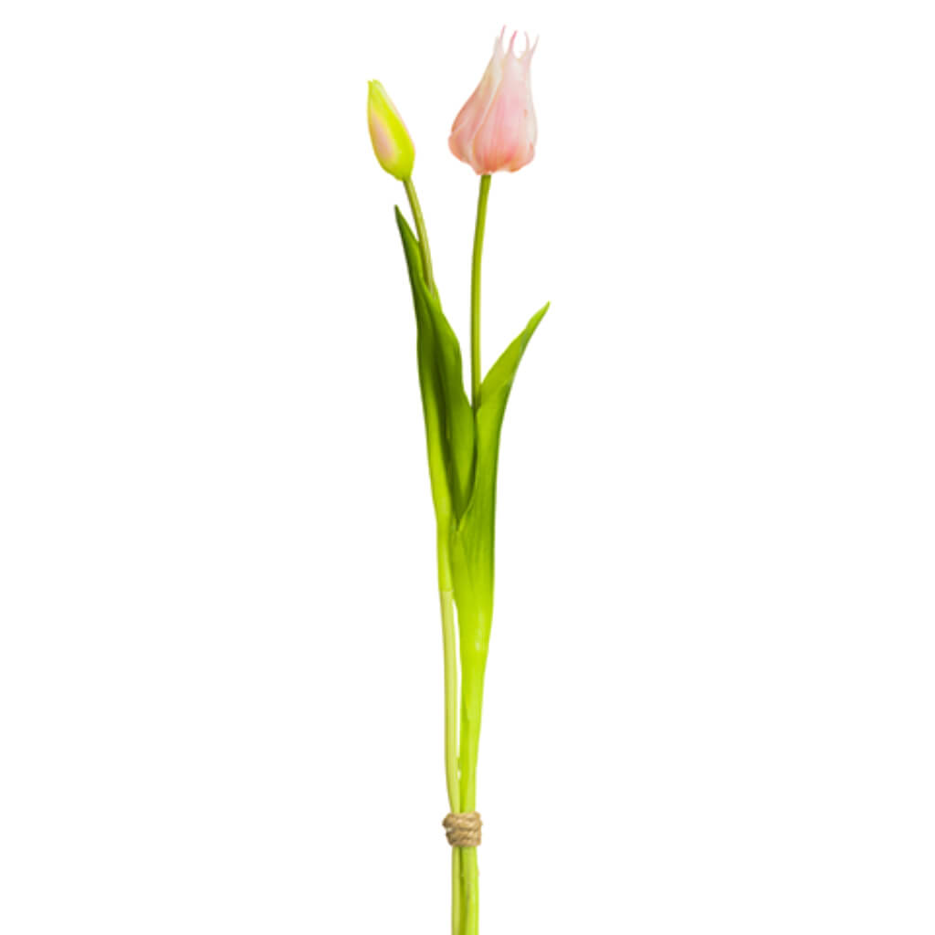 Tulip Bud Bundle x2 Soft Pink 18.1in