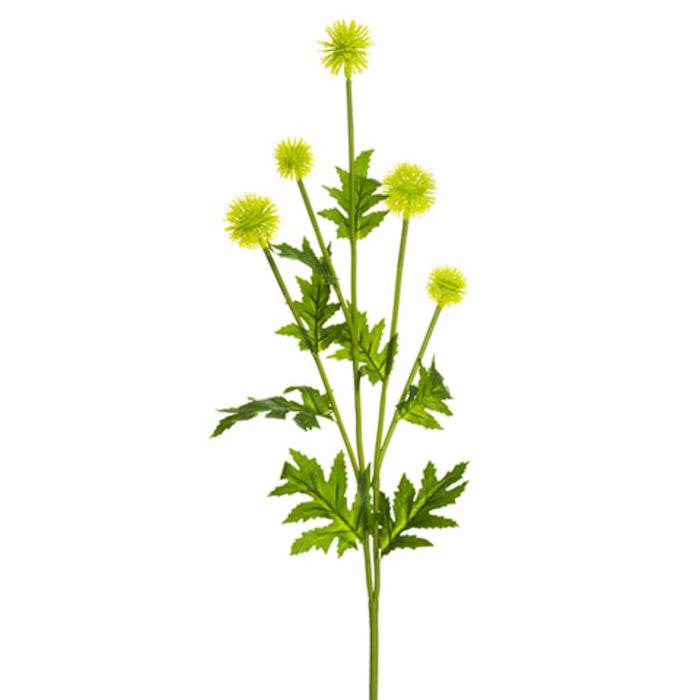 Globe Thistle Spray 28in Yellow