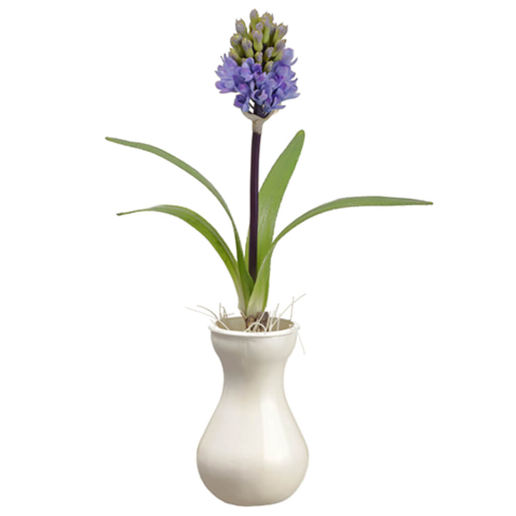 Hyacinth in Vase Lavender 15in