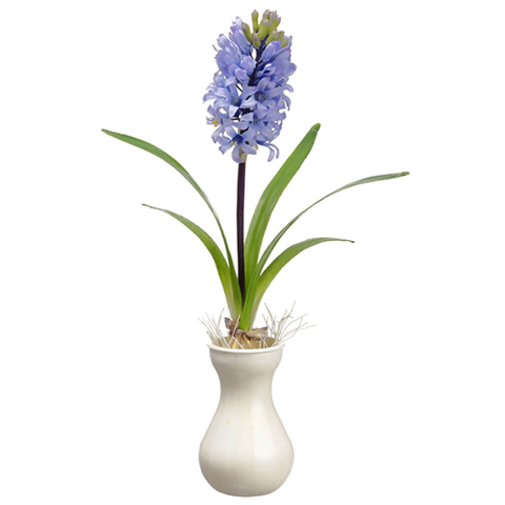 Hyacinth in Vase Lavender 17in