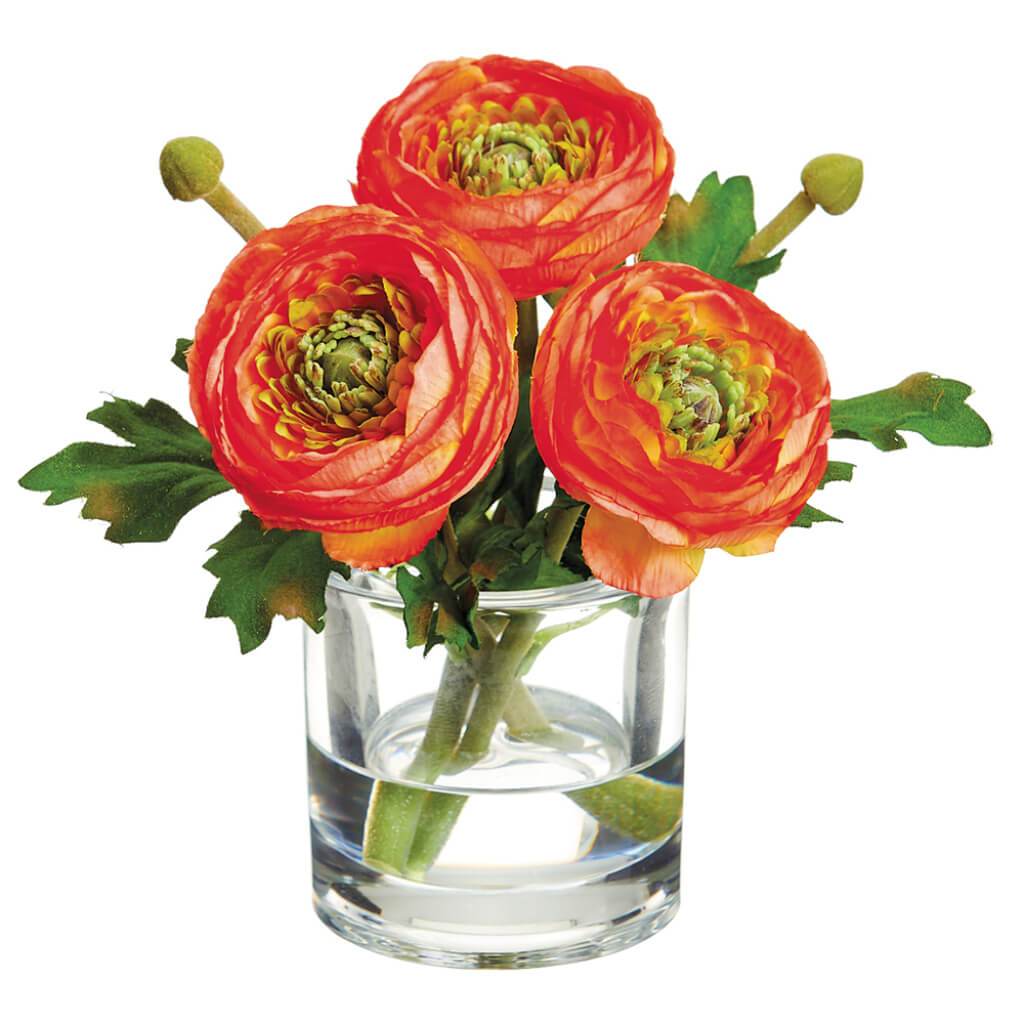 Ranunculus in Glass Vase Orange 6.5in