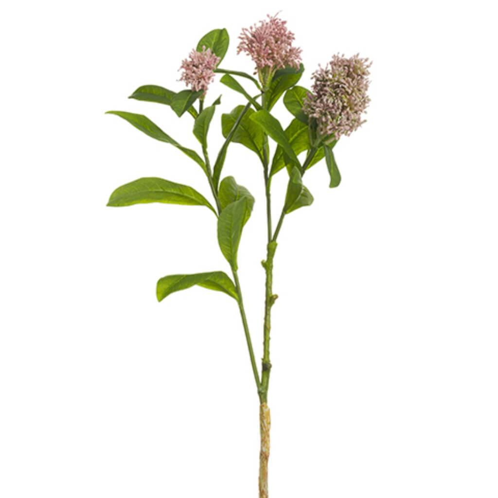 Skimmia Spray Mauve 22in