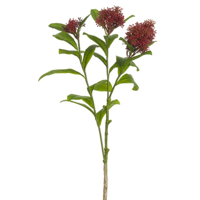 Skimmia Spray 22in, Red