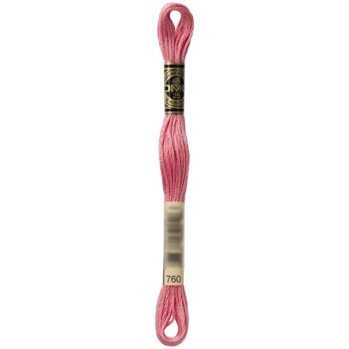 Dmc Floss Salmon Salmon 