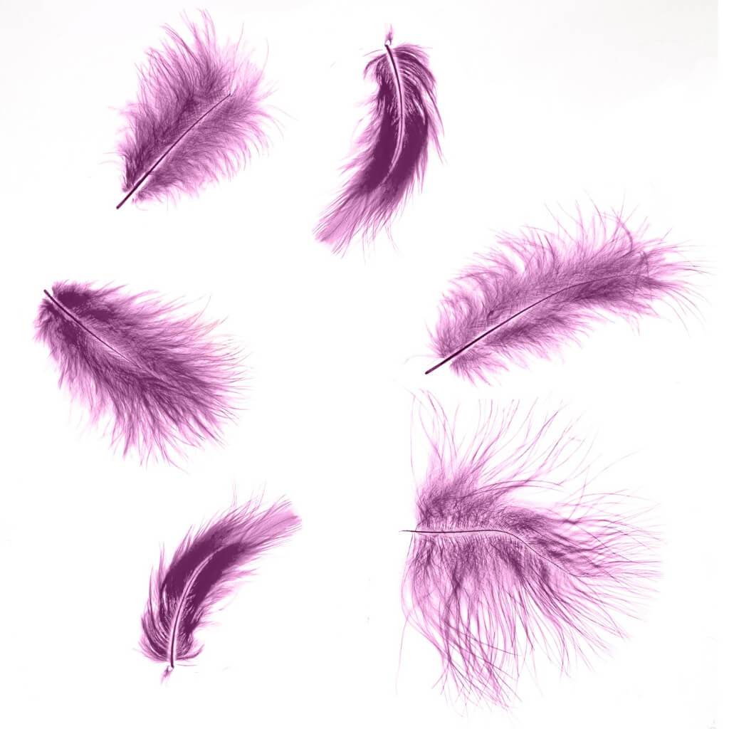 Plumage Feathers: Purple, 4 To 5 Inches, 11.9 Grams