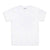 Gildan Short Sleeve T-Shirt Adult