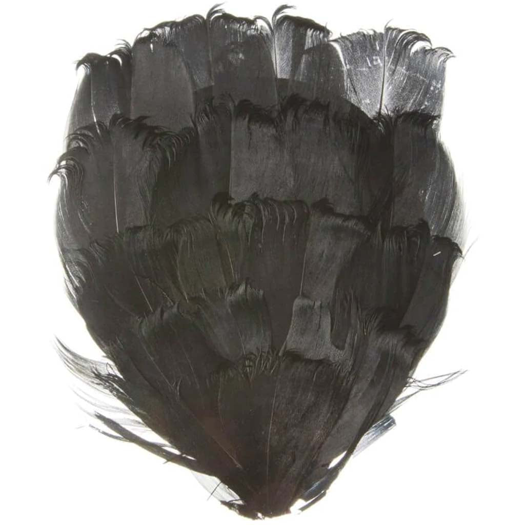 Black And White Goose Feather: 6 Inches