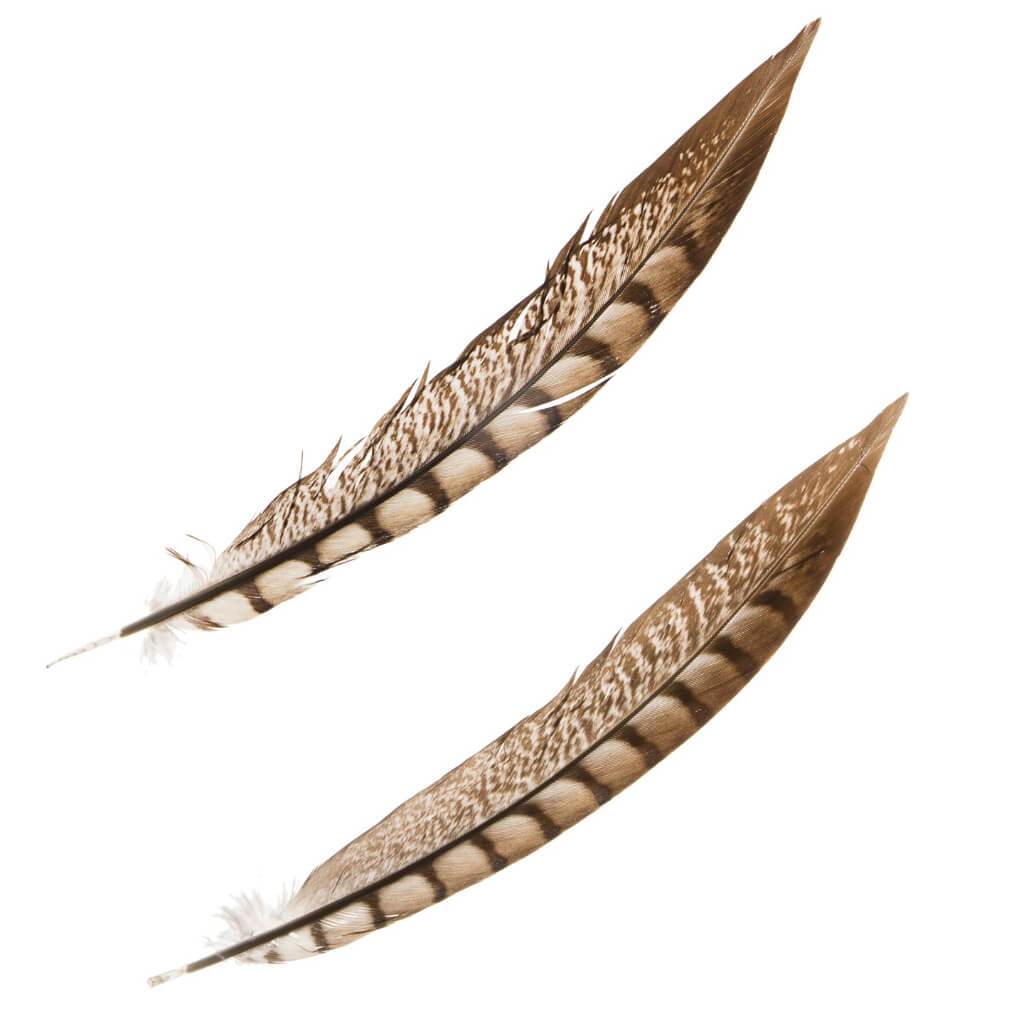 Pheasant Tail Feather: Lady Amethyst, 8 To 9 Inches, 2 Pack