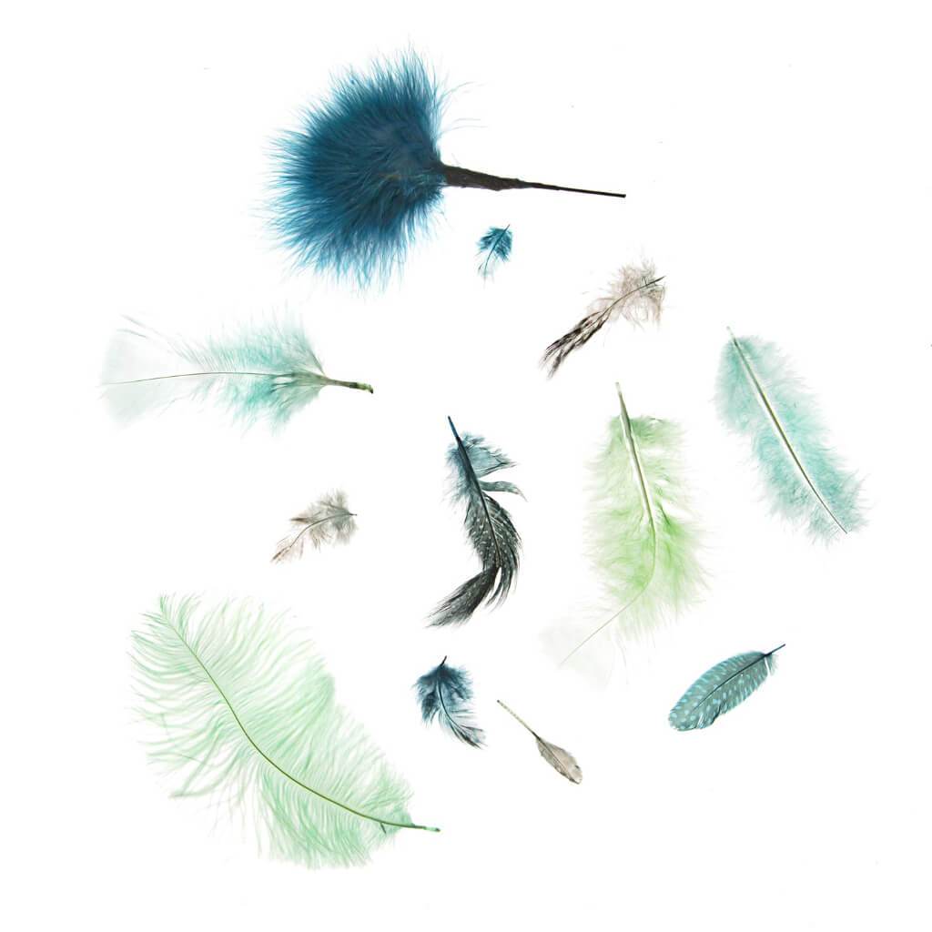 Guinea Feathers: Blue/Green, 2 To 4 Inches, 8 Grams