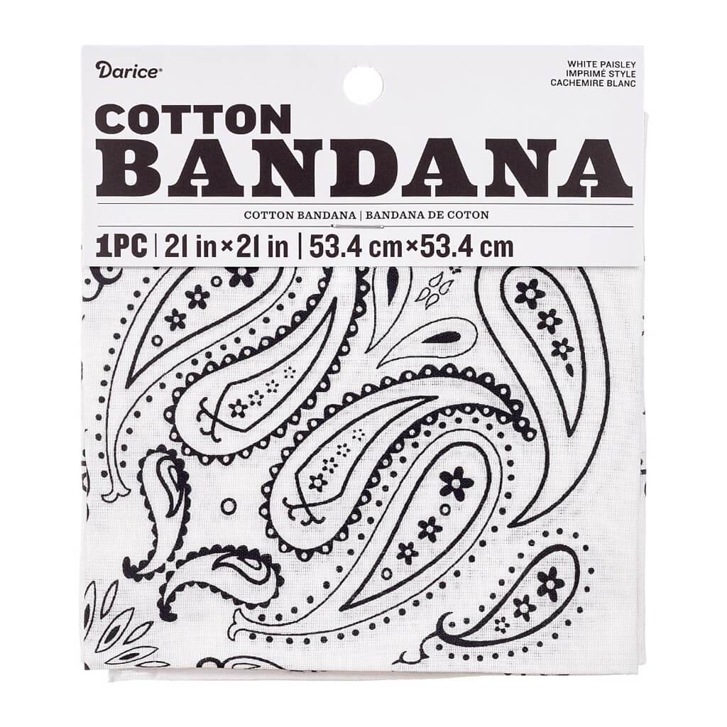 Paisley Bandana 21in x 21in