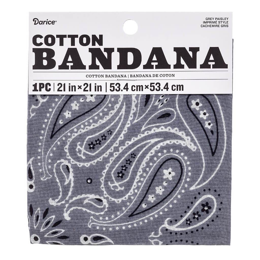 Paisley Bandana 21in x 21in