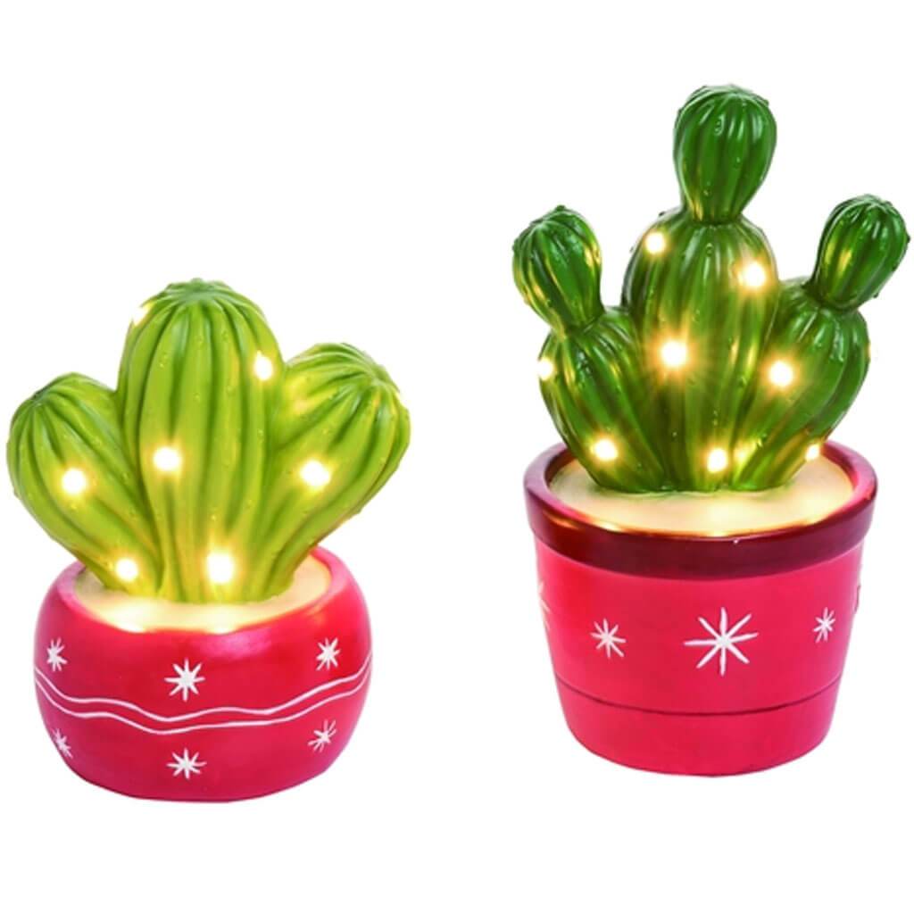 Cer Light Up Christmas Cactus Asst