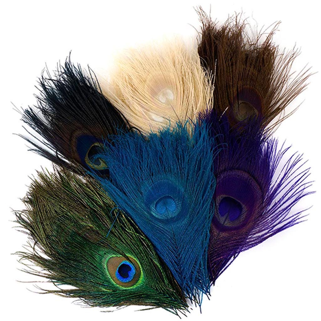 Feather Peacock Assorted