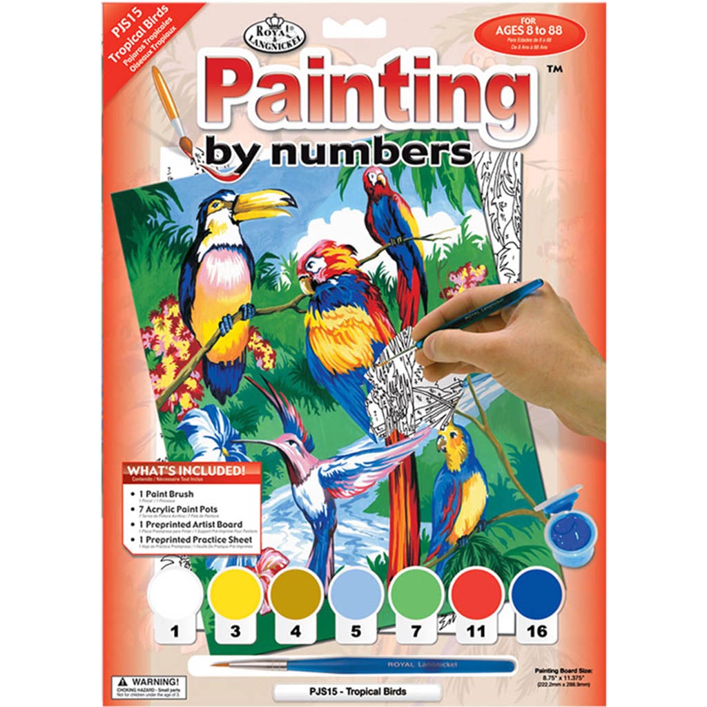 Junior Small Paint By Number Kit Tropical Birds