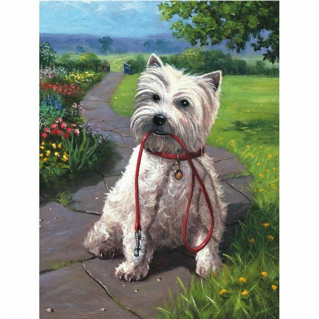 Paint By Number Junior Small Time For A Walk