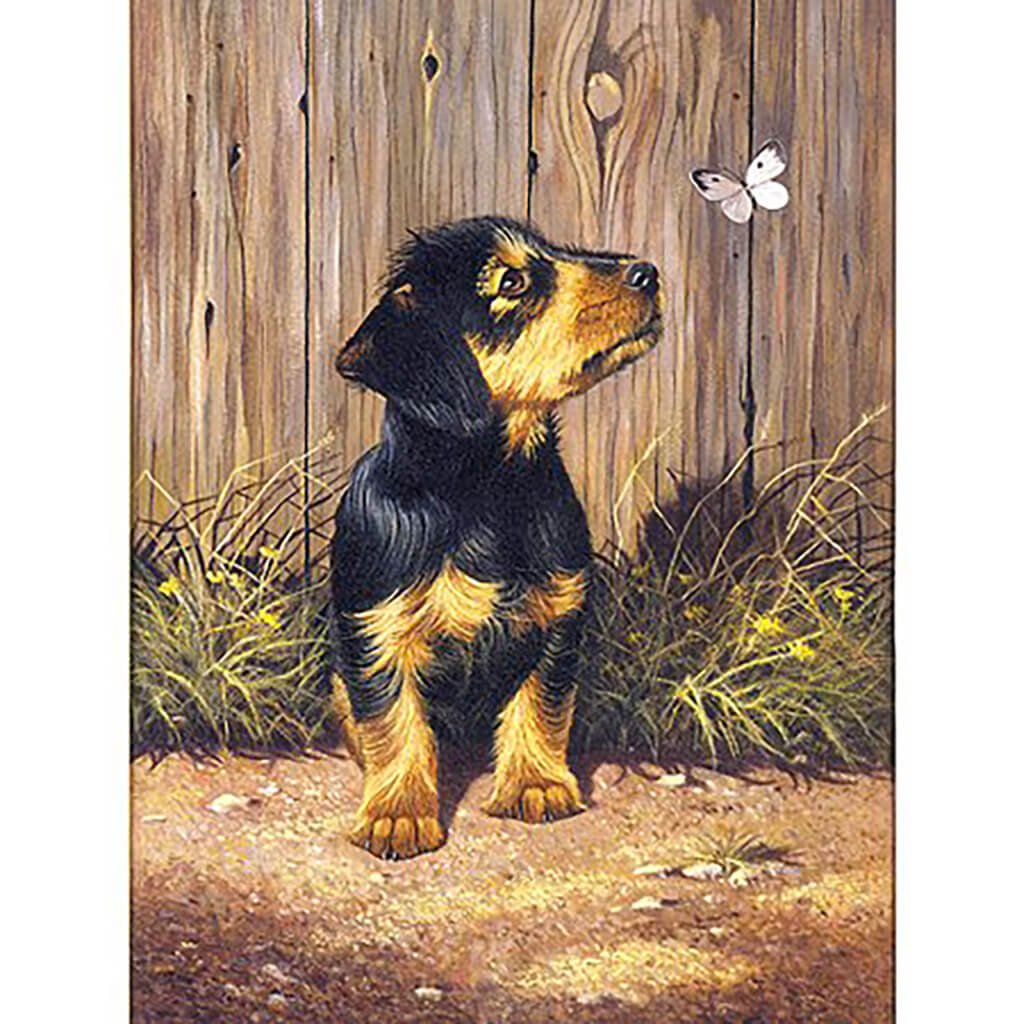 Junior Small Paint By Number Kit Dachshund Puppy