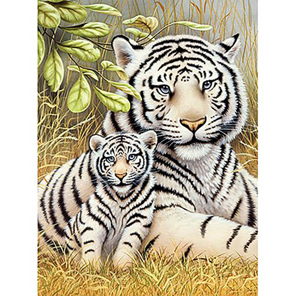 Junior Small Paint By Number Kit White Tiger Pair