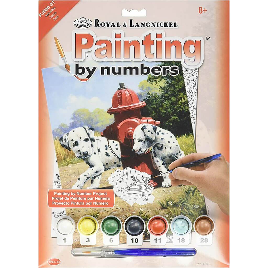 Painting By Numbers Junior Small