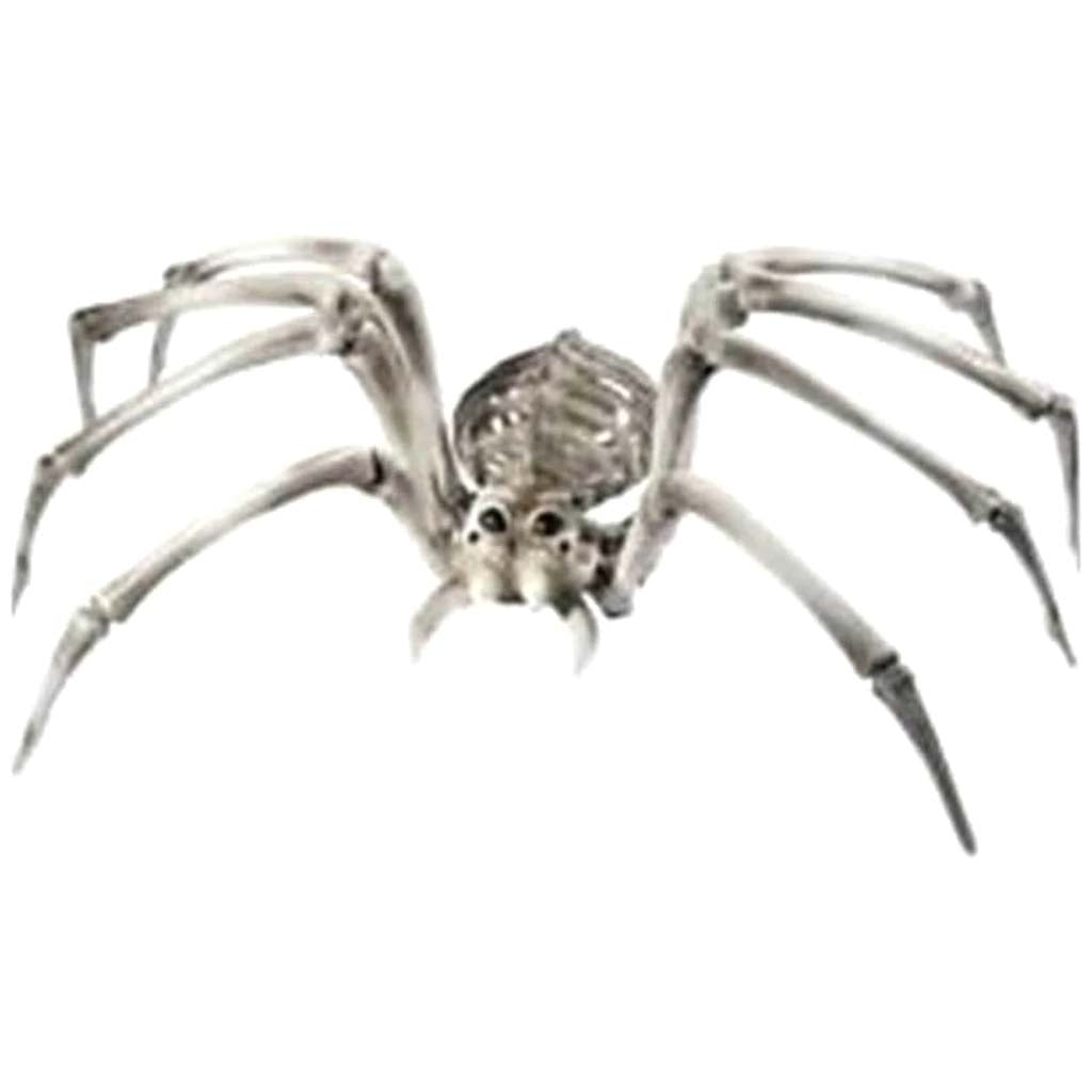 Skeleton Spider