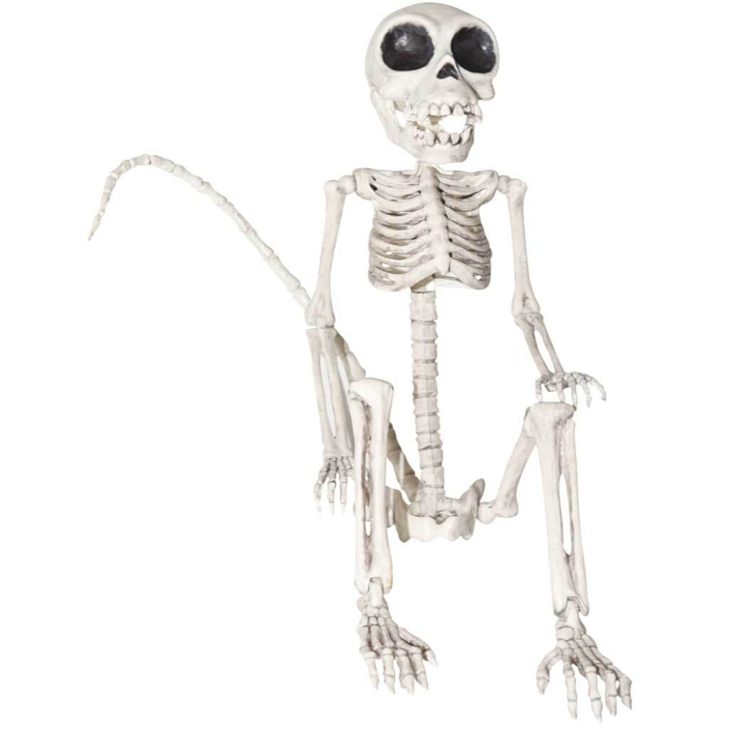 Skeleton Monkey