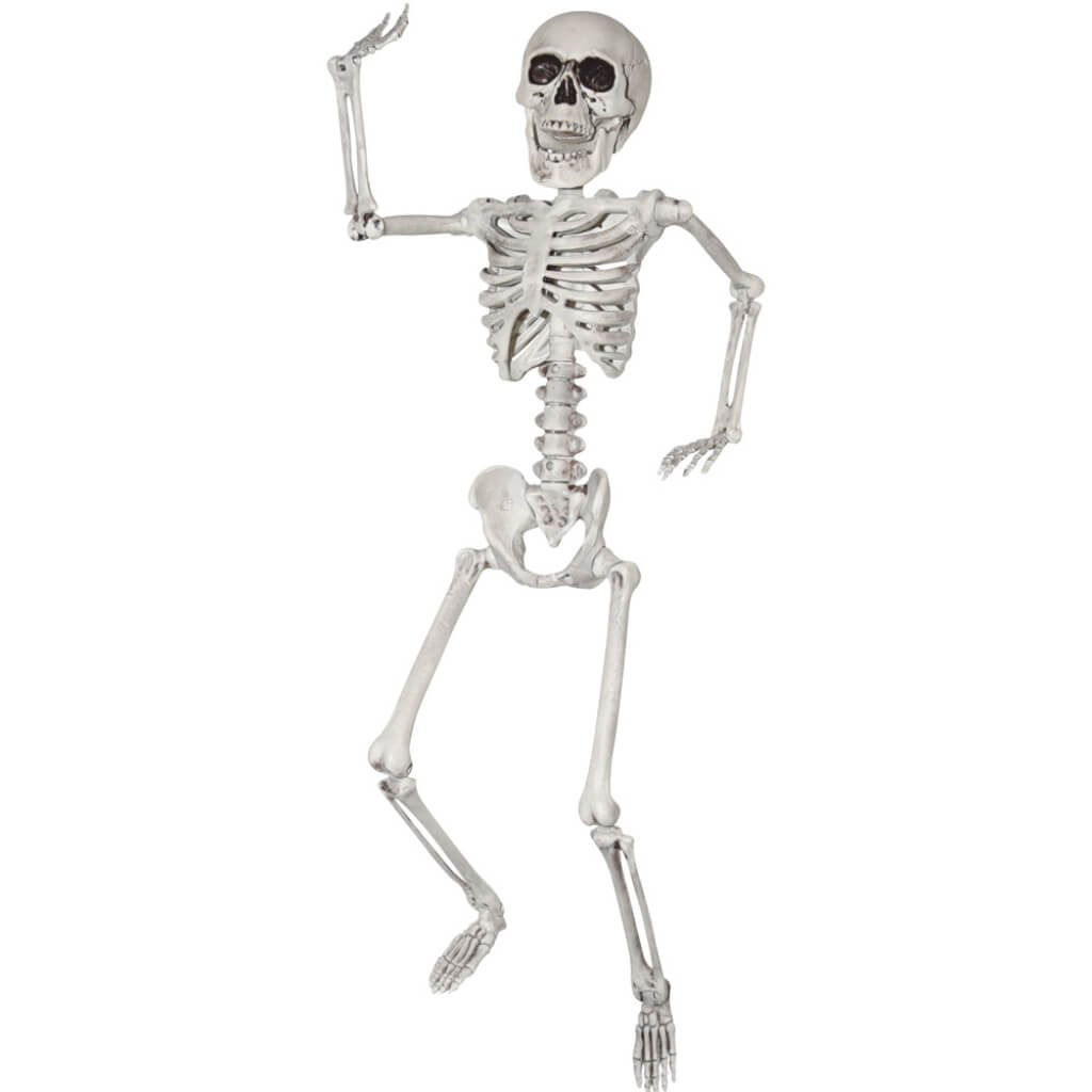 Skeleton 24in