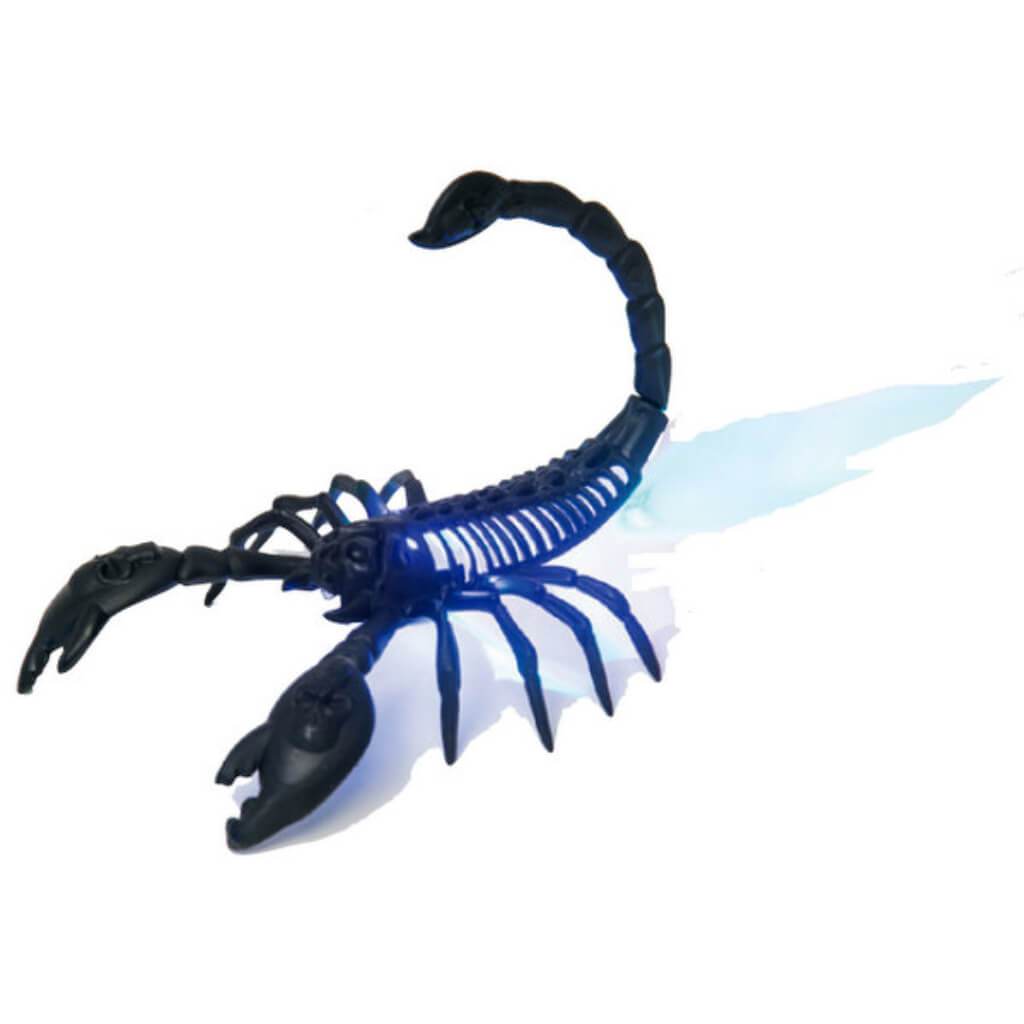 Scorpion W/ Led