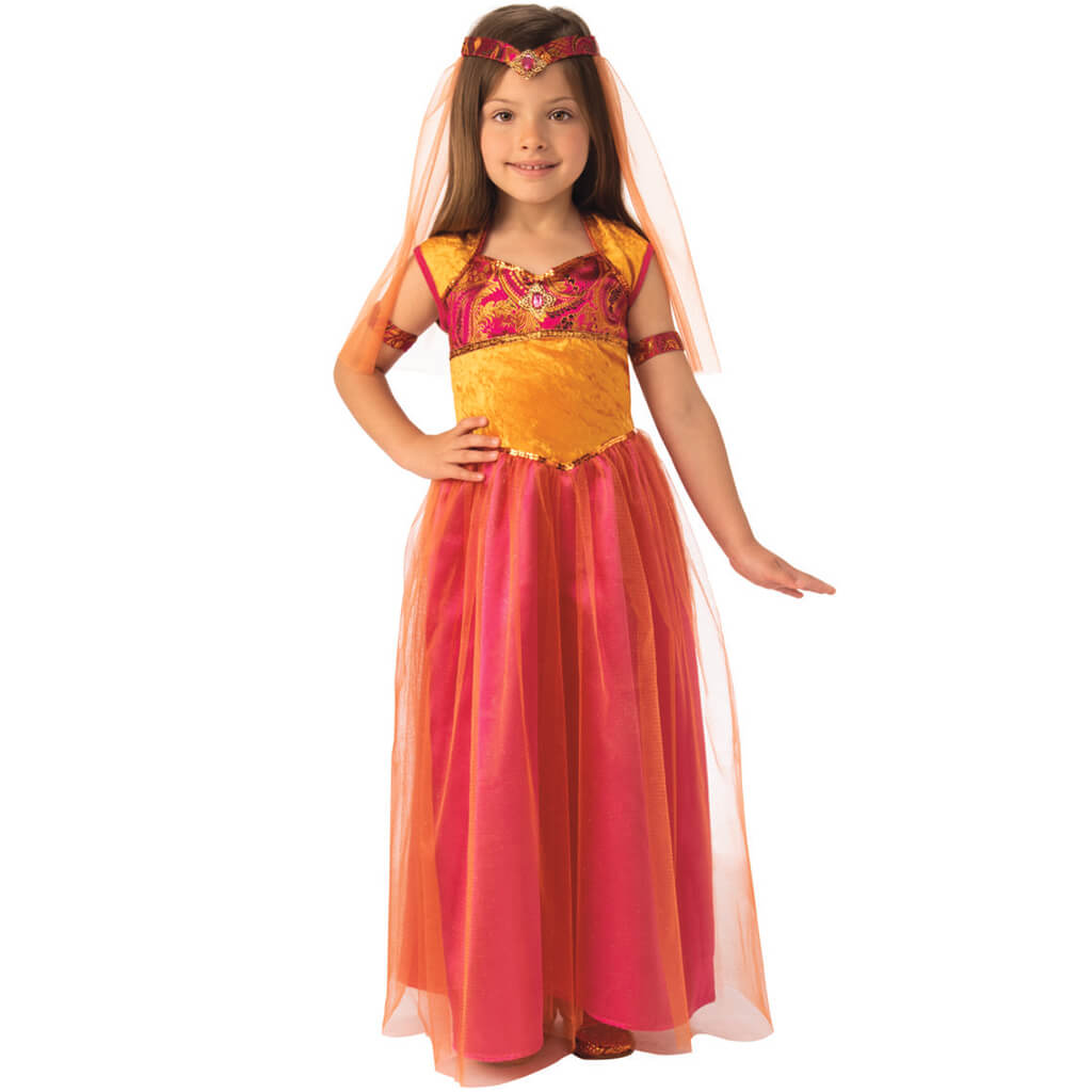 Bollywood Girl Costume