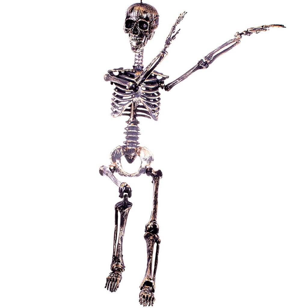 Skeleton Posable Hanging 36in