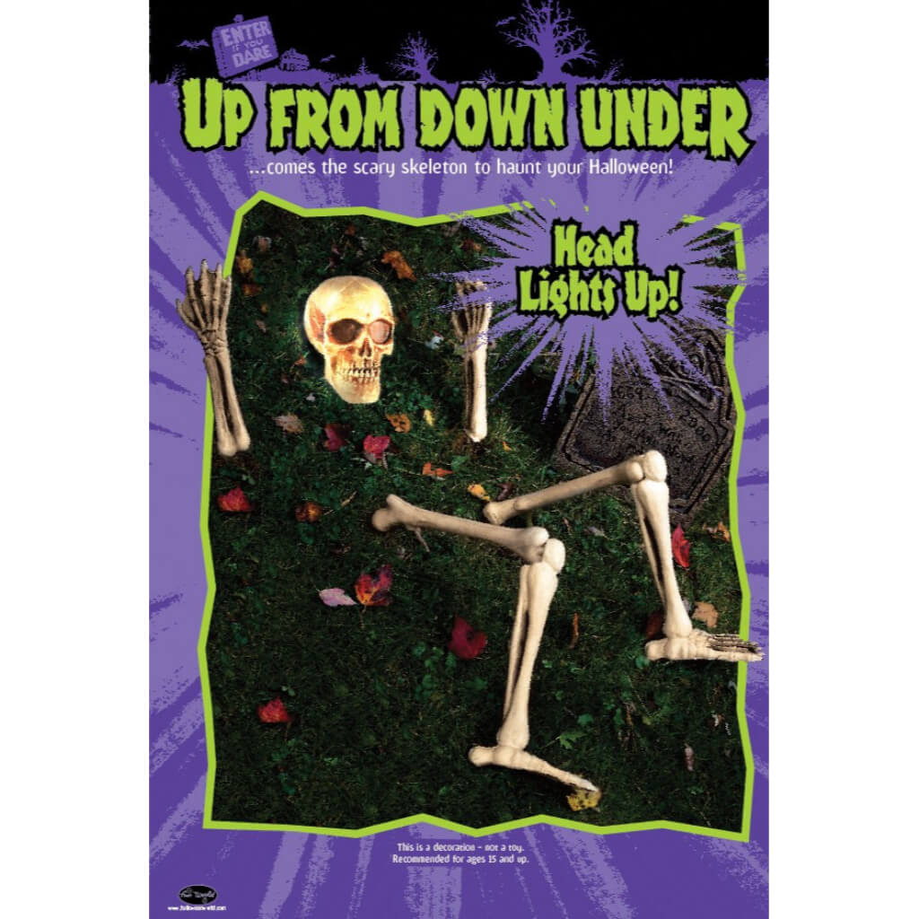 Up From Down Under Skeleton