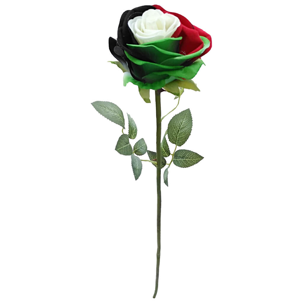 UAE Flag Rose