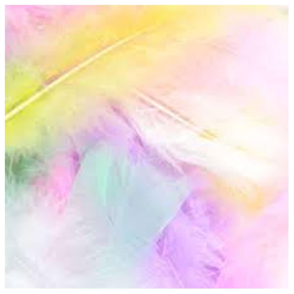 Turkey Flat Feathers 14g Pastel Colors