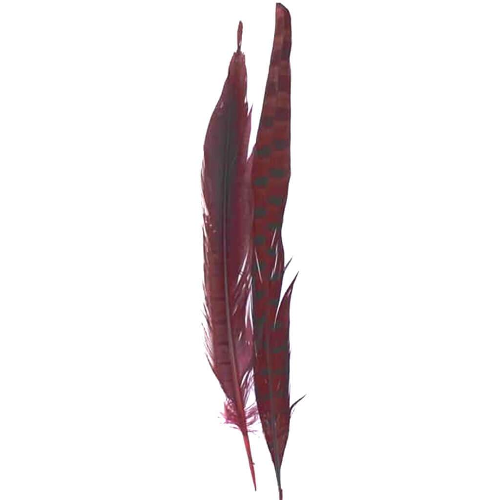 Dyed Pheasant Feathers 10-12in