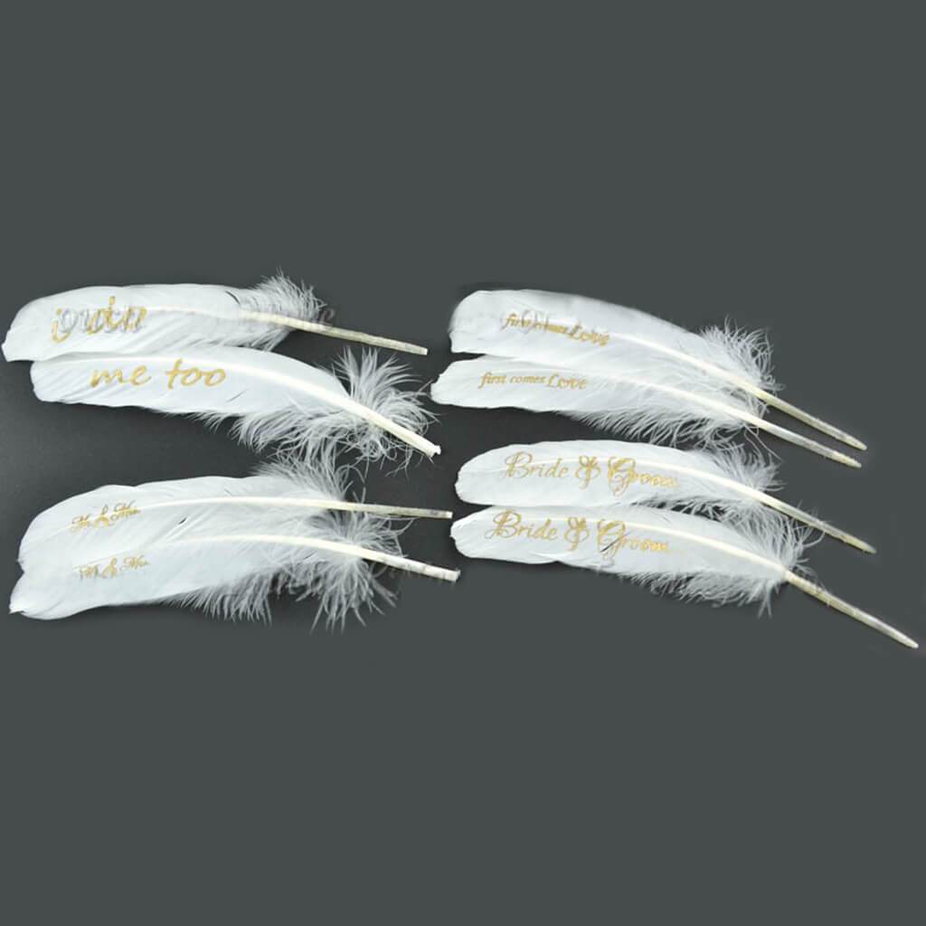 Statement Goose Round Feathers Assorted