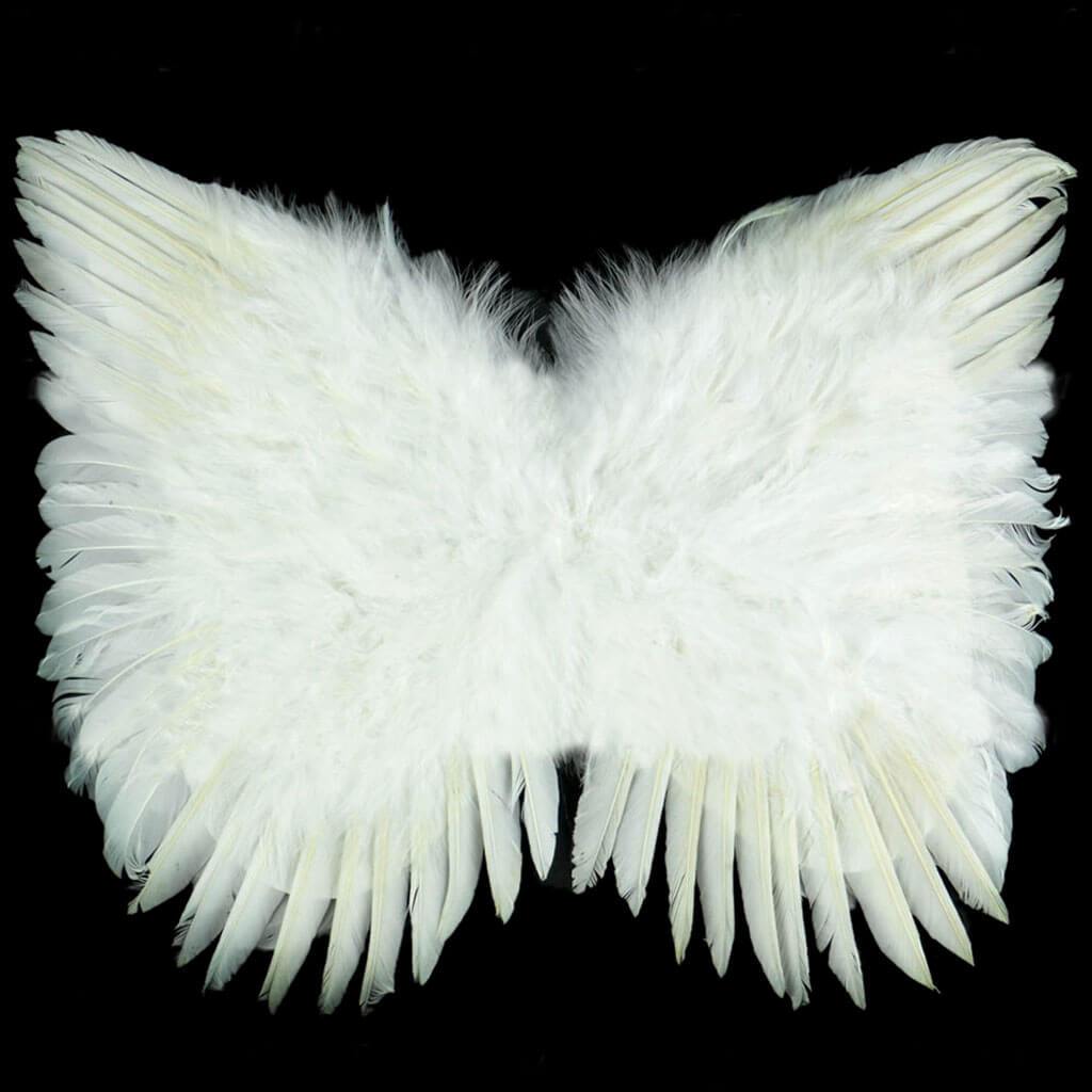 White Angel Wings 15in