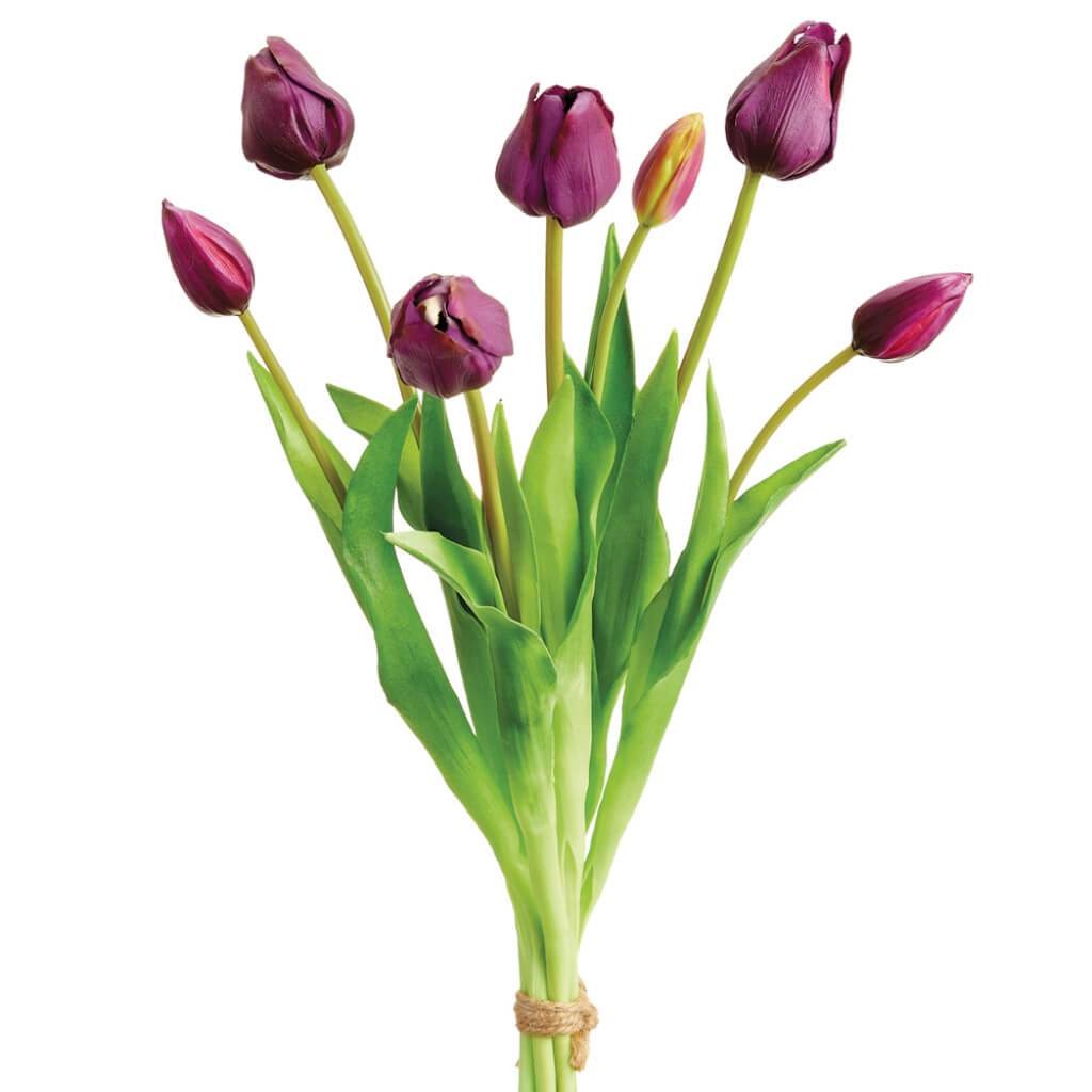 Tulip Bundle x7 Plum 18.5in