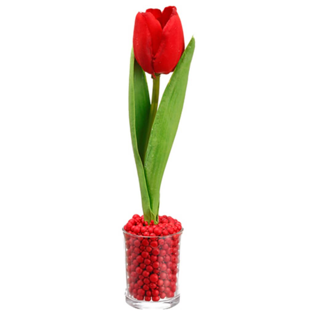 Tulip in Glass Vase Red 9in