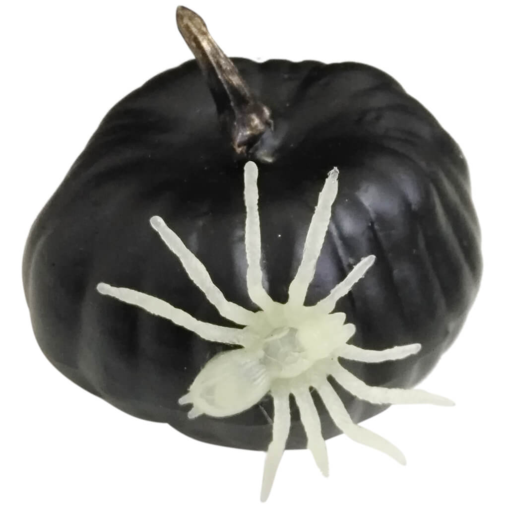 Decorative Pumpkin with Accents Black with Spider