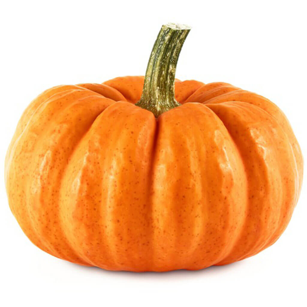 Mini Pumpkin Orange