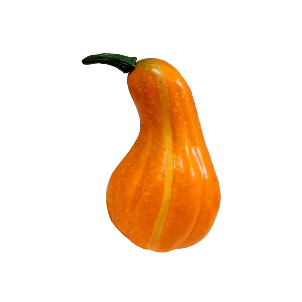 Mini Pumpkin Long Orange