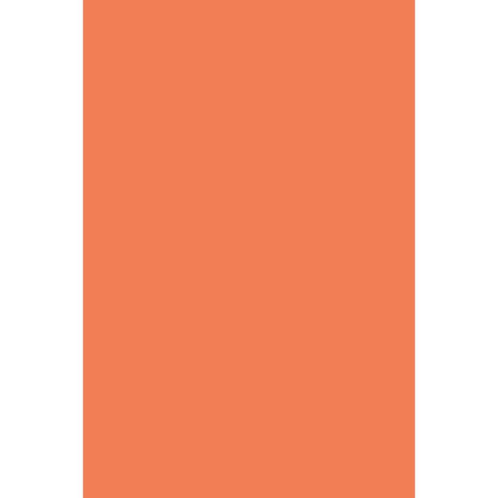 Tissue 24 Sheets 20in x 30in Orange
