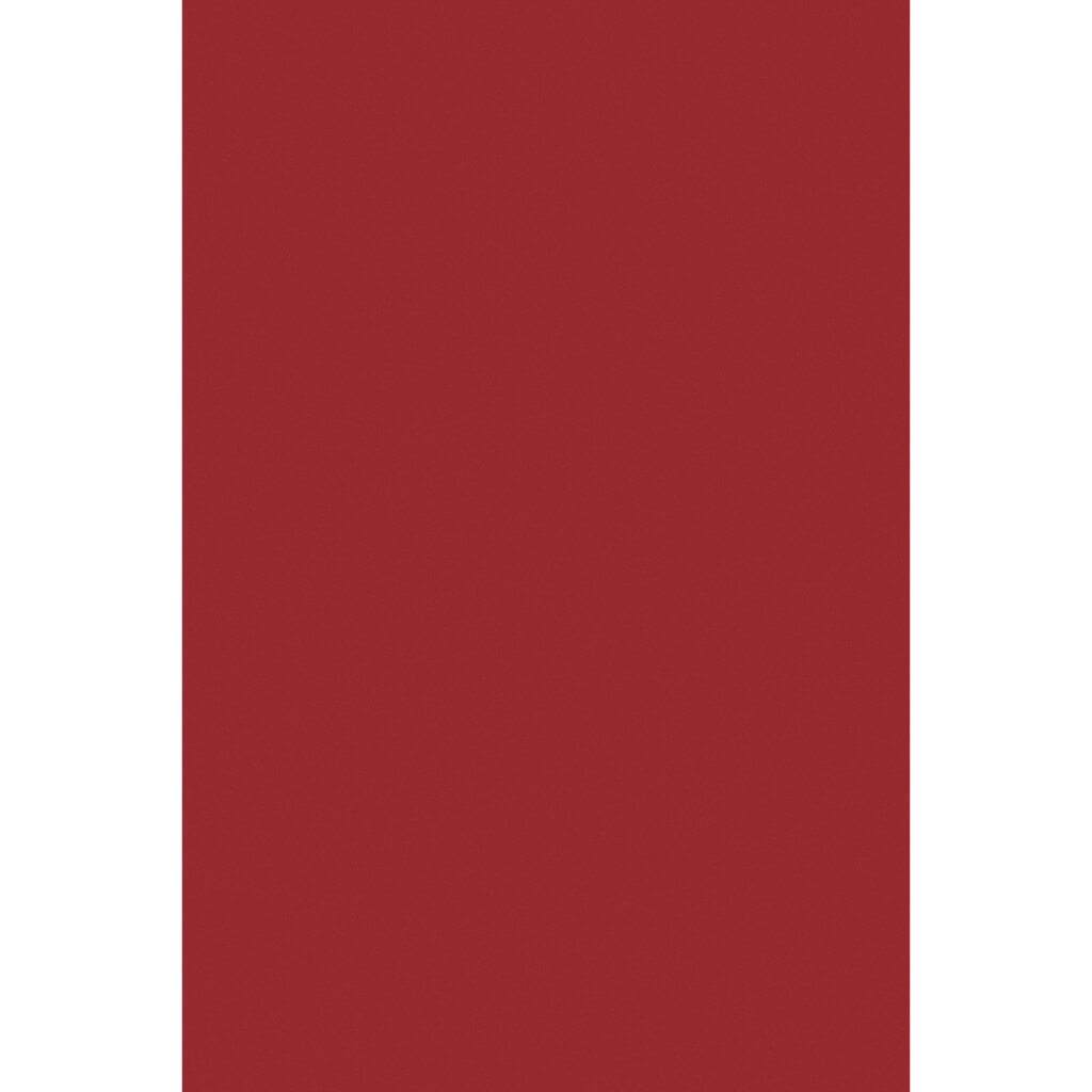 Tissue 24 Sheets 20in x 30in National Red