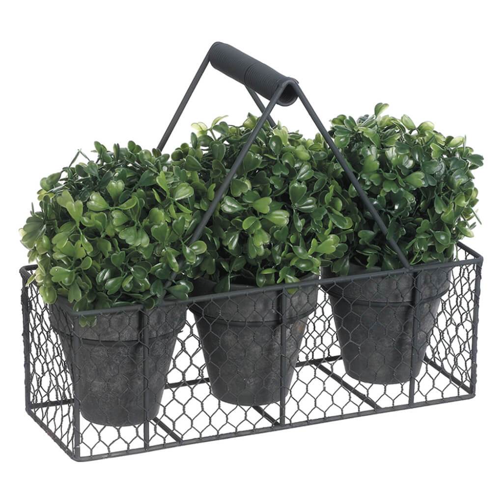 Boxwood Ball-Shaped Topiary in Paper Mache Pot x3 with Metal Basket Green 9.75in