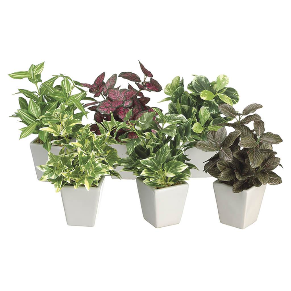 Assorted Greenery Arrangement in Ceramic Pot 6 Styles Green Burgundy 7.5in