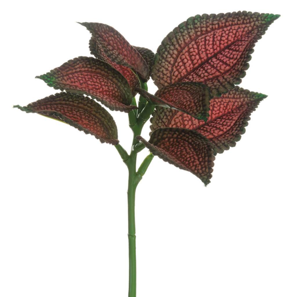 Coleus Leaf Spray 10in  Burgundy Green