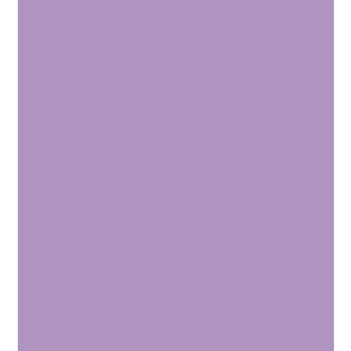 Colorline Paper Sheets 8.5in x 11in 150gsm Lilac