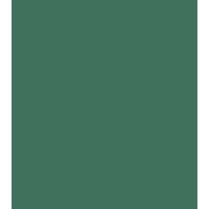 Colorline Paper Sheets 8.5in x 11in 150gsm Moss Green